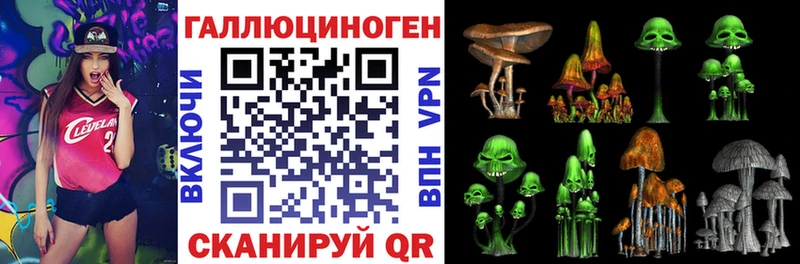 Купить закладки  Ермолино  Псилоцибиновые грибы MAGIC MUSHROOMS 